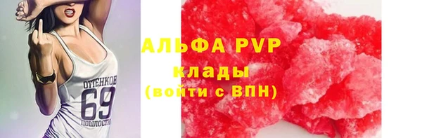 дживик Арсеньев