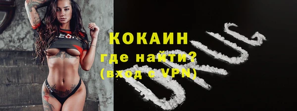 дживик Арсеньев