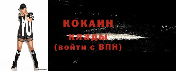 дживик Арсеньев