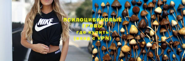 тгк Аркадак