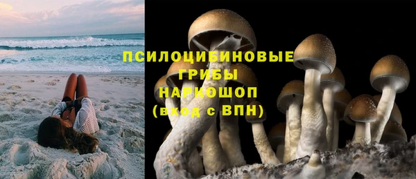 дживик Арсеньев
