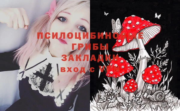 дживик Арсеньев