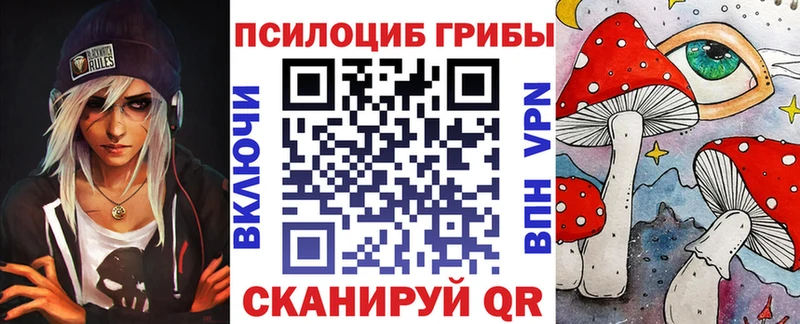 магазин продажи наркотиков  кракен маркетплейс  Галлюциногенные грибы GOLDEN TEACHER  Новодвинск 