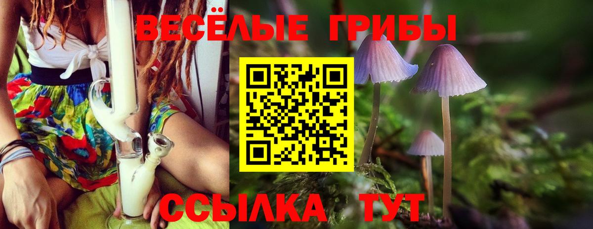 Новодвинск  Галлюциногенные грибы мухоморы  Вход с VPN 