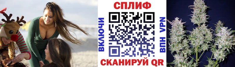 купить наркотик  Новодвинск  МАРИХУАНА White Widow 